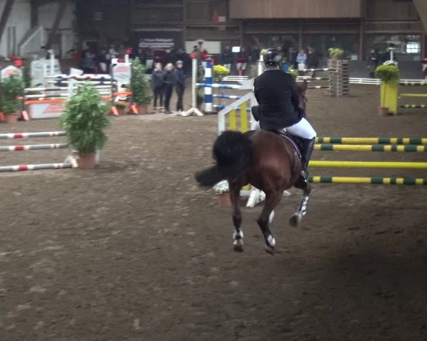 Reitturnier HH-Hummelsbüttel 2017