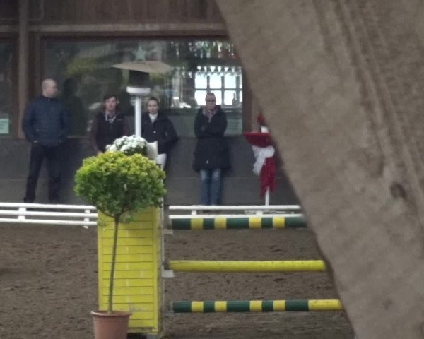 Reitturnier HH-Hummelsbüttel 2017