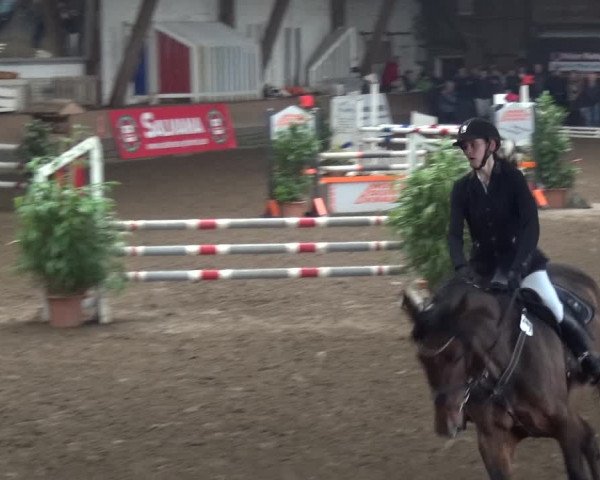 Reitturnier HH-Hummelsbüttel 2017