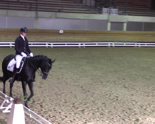 Reitturnier Paderborn 2017