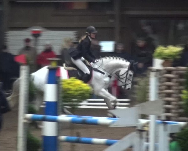 Reitturnier HH-Hummelsbüttel 2017
