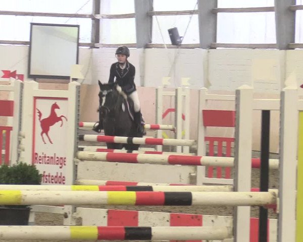 Reitturnier Datteln 2017