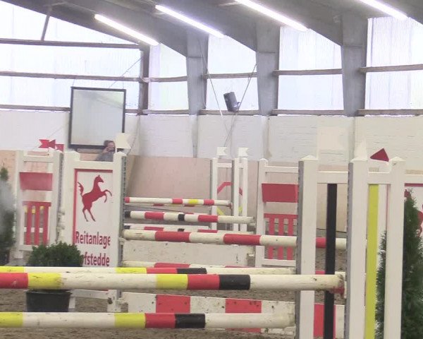 Reitturnier Datteln 2017