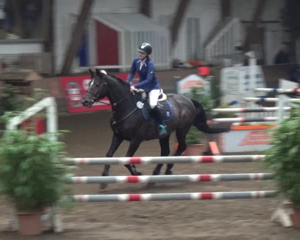 Reitturnier HH-Hummelsbüttel 2017