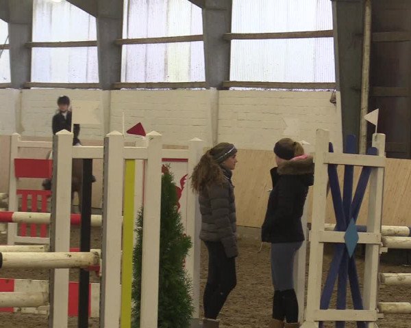 Reitturnier Datteln 2017