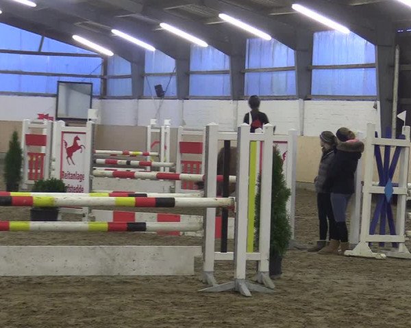 Reitturnier Datteln 2017