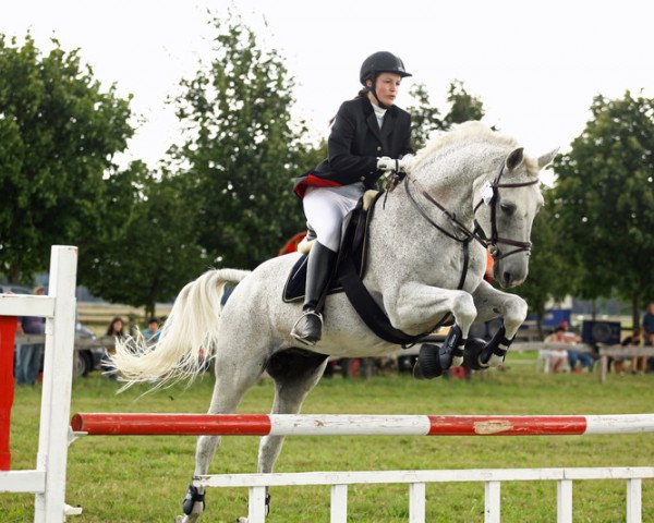 dressage horse Pommernprinz (Mecklenburg, 1994, from Prinz Oldenburg)