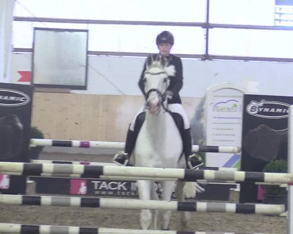 Reitturnier Datteln 2017