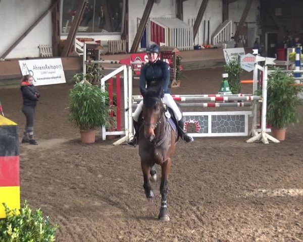 Reitturnier HH-Hummelsbüttel 2017