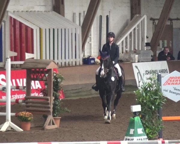 Reitturnier HH-Hummelsbüttel 2017