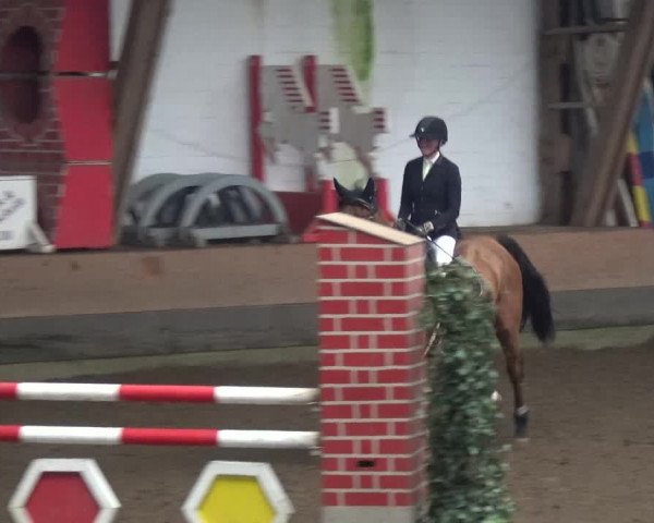 Reitturnier HH-Hummelsbüttel 2017