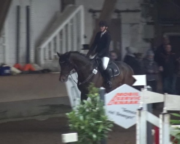 Reitturnier HH-Hummelsbüttel 2017
