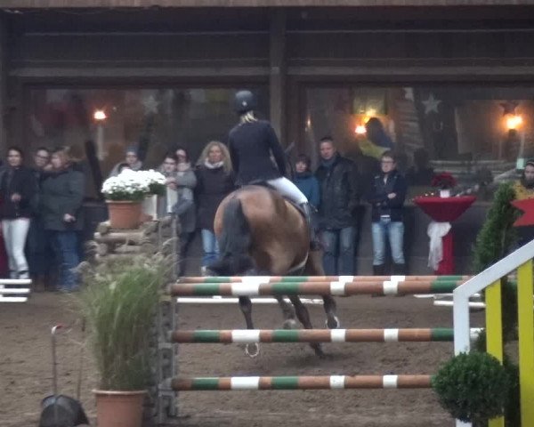 Reitturnier HH-Hummelsbüttel 2017