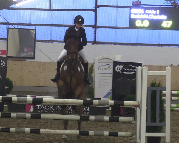 Reitturnier Datteln 2017