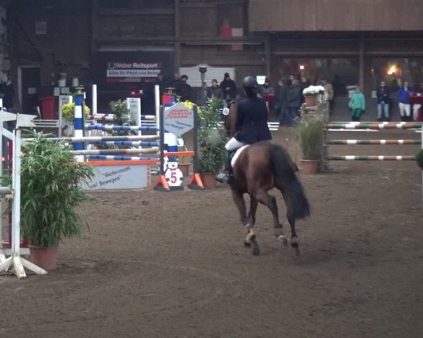 Reitturnier HH-Hummelsbüttel 2017
