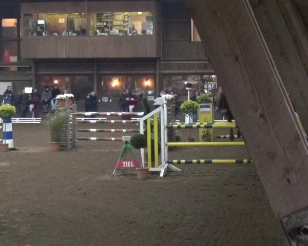 Reitturnier HH-Hummelsbüttel 2017