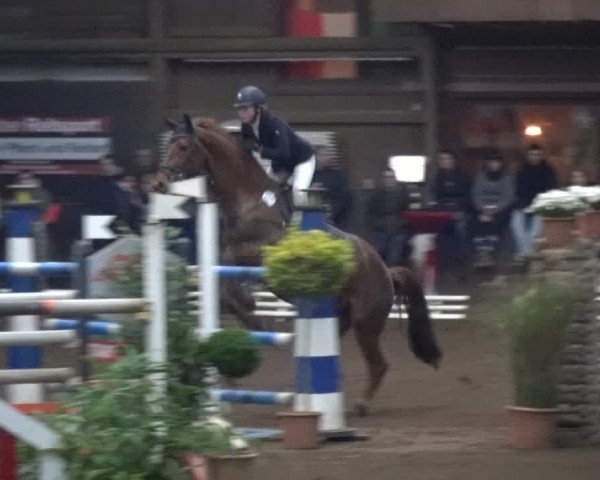Reitturnier HH-Hummelsbüttel 2017