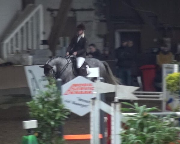 Reitturnier HH-Hummelsbüttel 2017