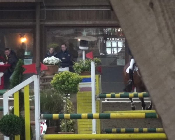 Reitturnier HH-Hummelsbüttel 2017