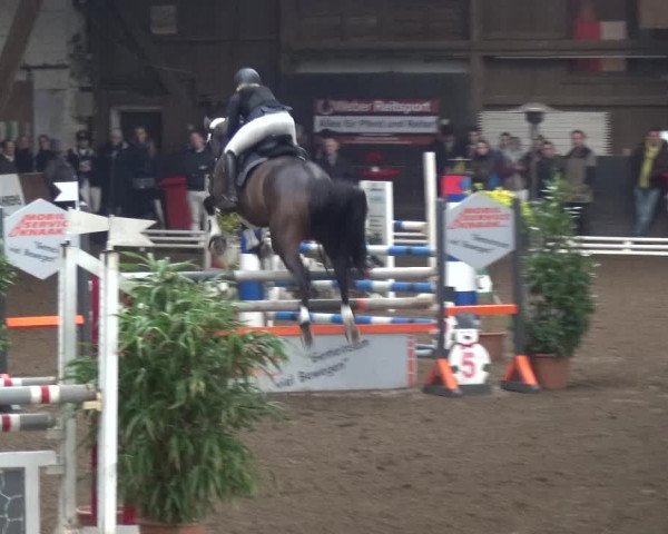 Reitturnier HH-Hummelsbüttel 2017