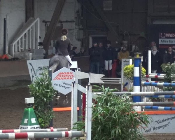 Reitturnier HH-Hummelsbüttel 2017