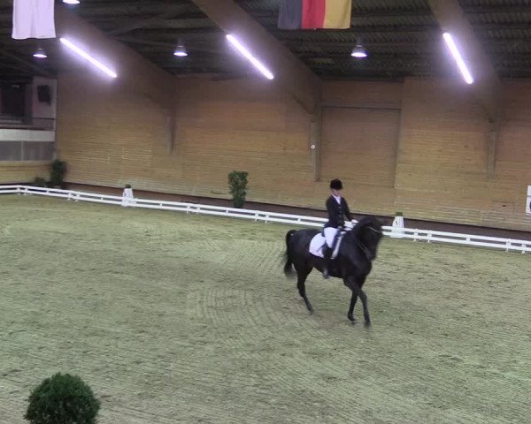 Reitturnier Paderborn 2017