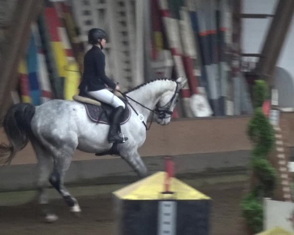 Reitturnier HH-Hummelsbüttel 2017