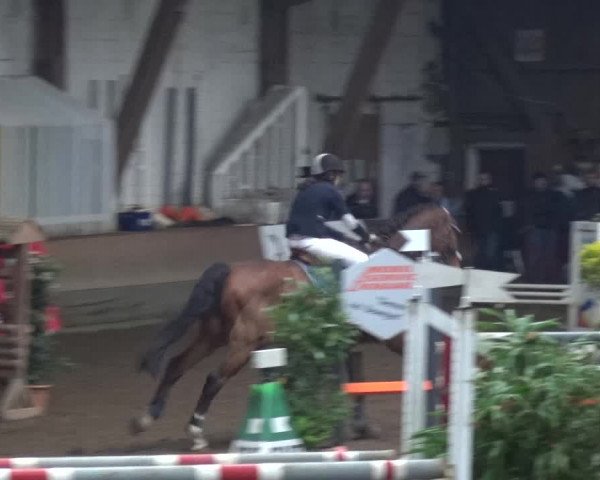 Reitturnier HH-Hummelsbüttel 2017