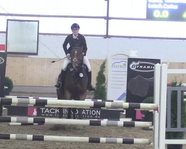 Reitturnier Datteln 2017