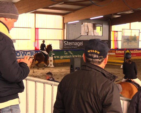 Reitturnier Pausin 2017