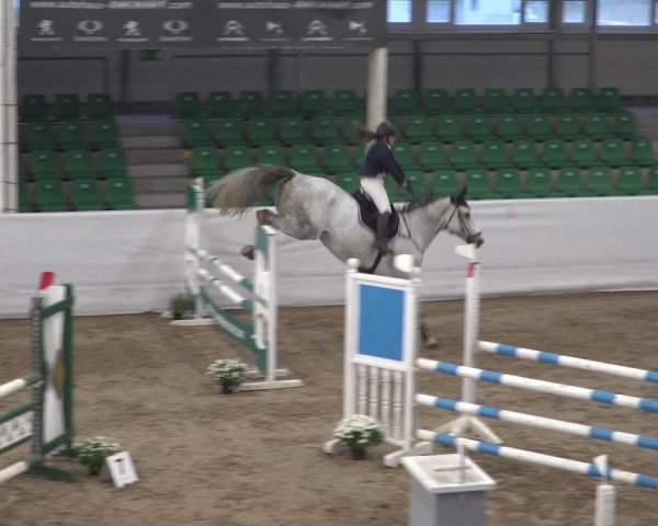 Reitturnier Zweibrücken 2017