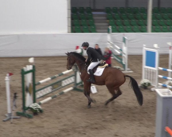 Reitturnier Zweibrücken 2017