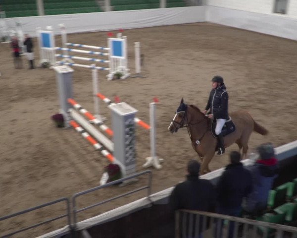 Reitturnier Zweibrücken 2017
