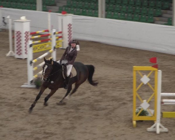 Reitturnier Zweibrücken 2017
