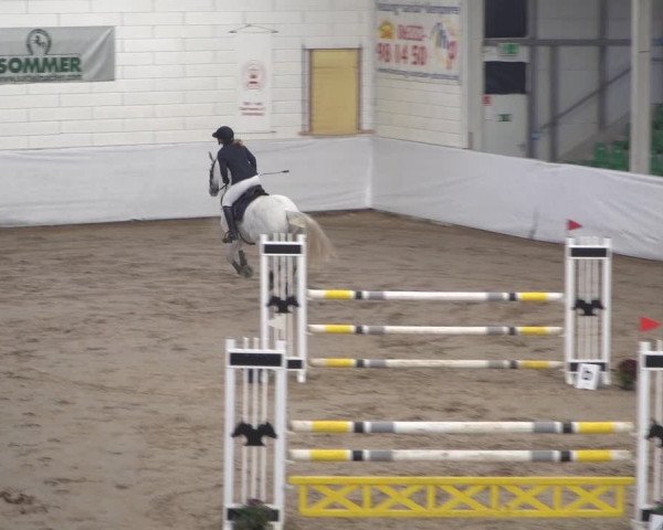 Reitturnier Zweibrücken 2017
