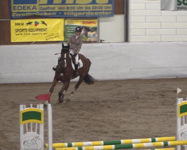 Reitturnier Zweibrücken 2017
