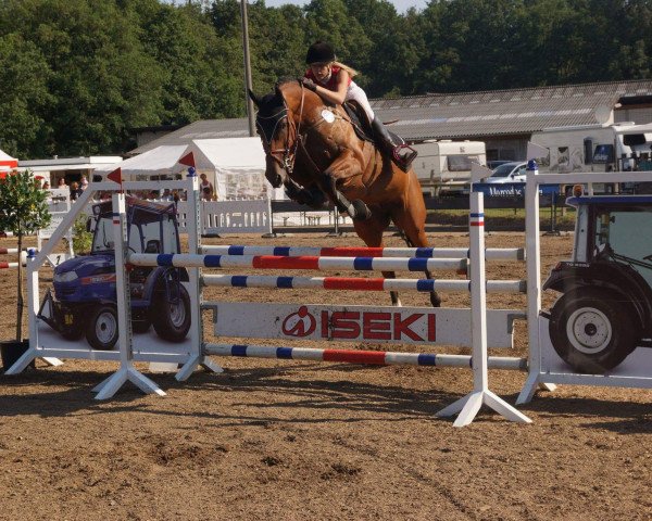 jumper Chakyra (Holsteiner, 2005)