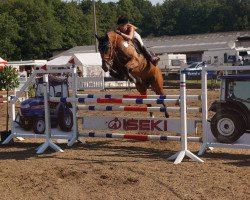 jumper Chakyra (Holsteiner, 2005)