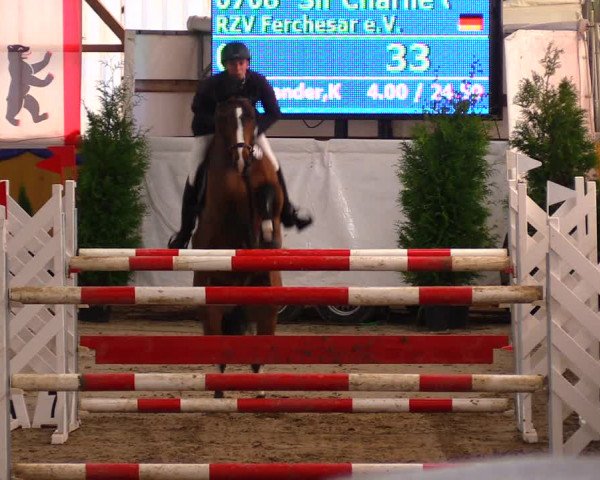 Reitturnier Pausin 2017