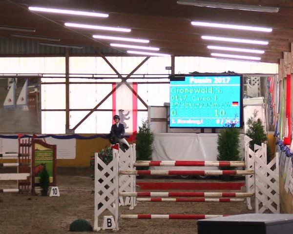 Reitturnier Pausin 2017