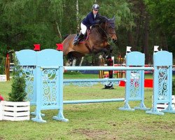 jumper Colette Hbc (KWPN (Royal Dutch Sporthorse), 2007, from Vincenzo)