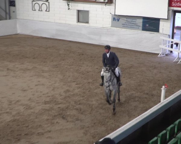 Reitturnier Zweibrücken 2017