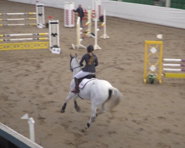Reitturnier Zweibrücken 2017