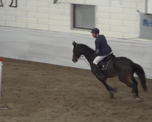 Reitturnier Zweibrücken 2017