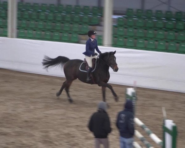 Reitturnier Zweibrücken 2017