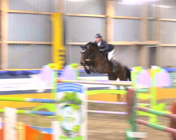 Reitturnier Pausin 2017