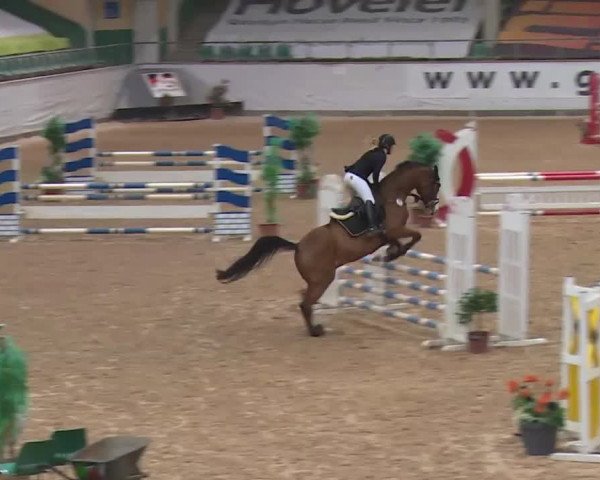Reitturnier Kreuth 2017