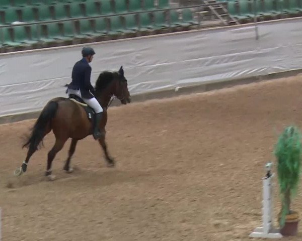 Reitturnier Kreuth 2017
