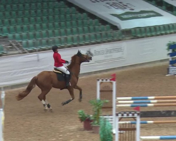 Reitturnier Kreuth 2017