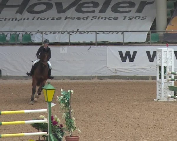 Reitturnier Kreuth 2017